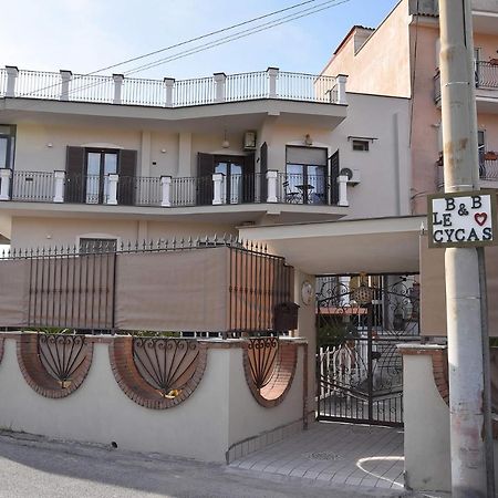 B&B Le Cycas Castellammare di Stabia Exterior photo