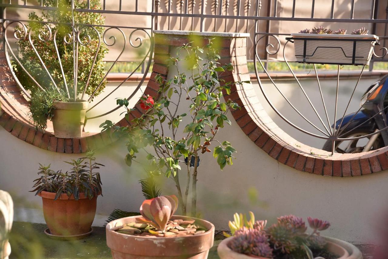 B&B Le Cycas Castellammare di Stabia Exterior photo